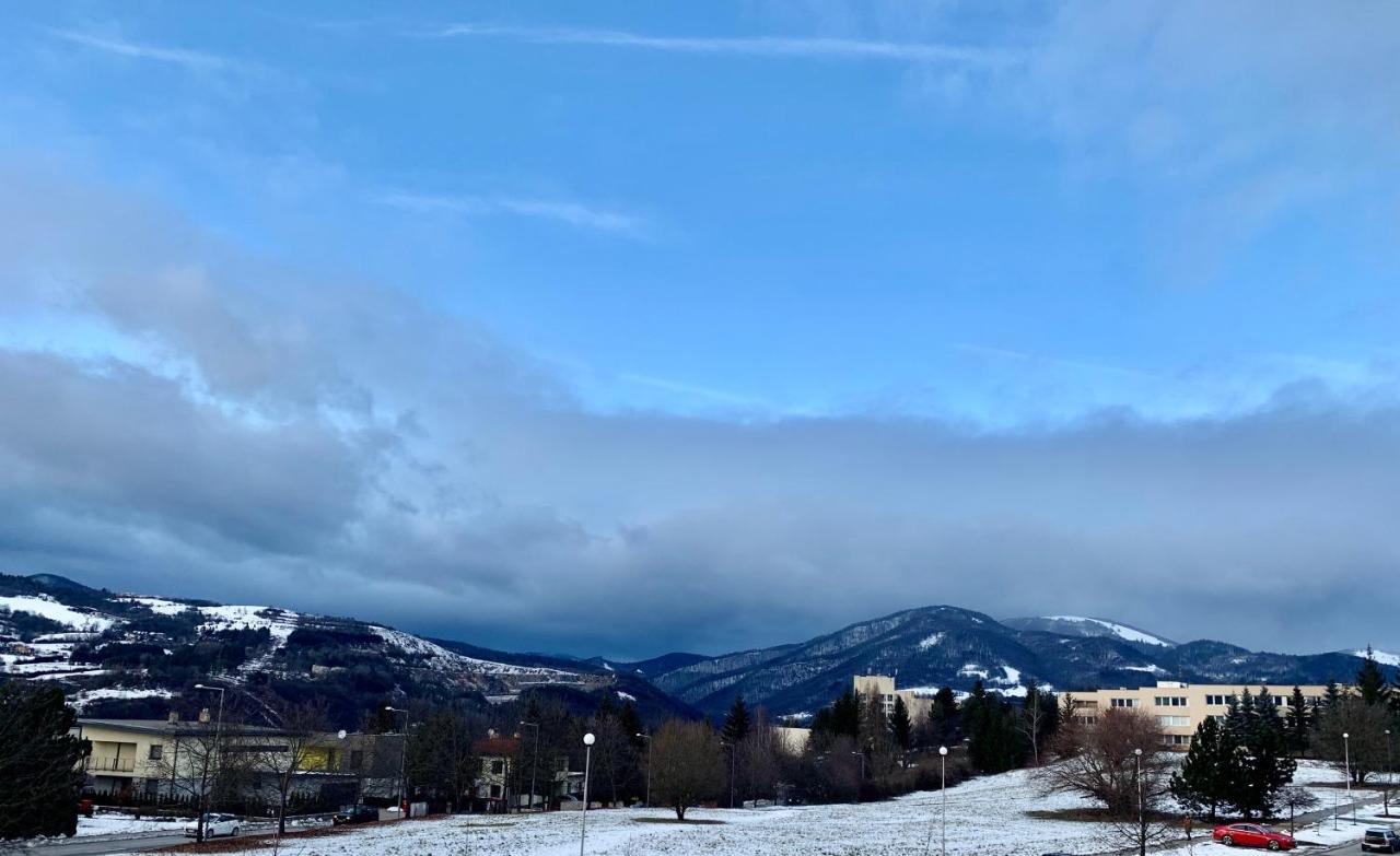 Bl - The Executive Suite, Boru - 24Hr Self Check-In, Free Private Parking, Balcony With Mountain View, 5 Minute Walk To City Center Besztercebánya Kültér fotó