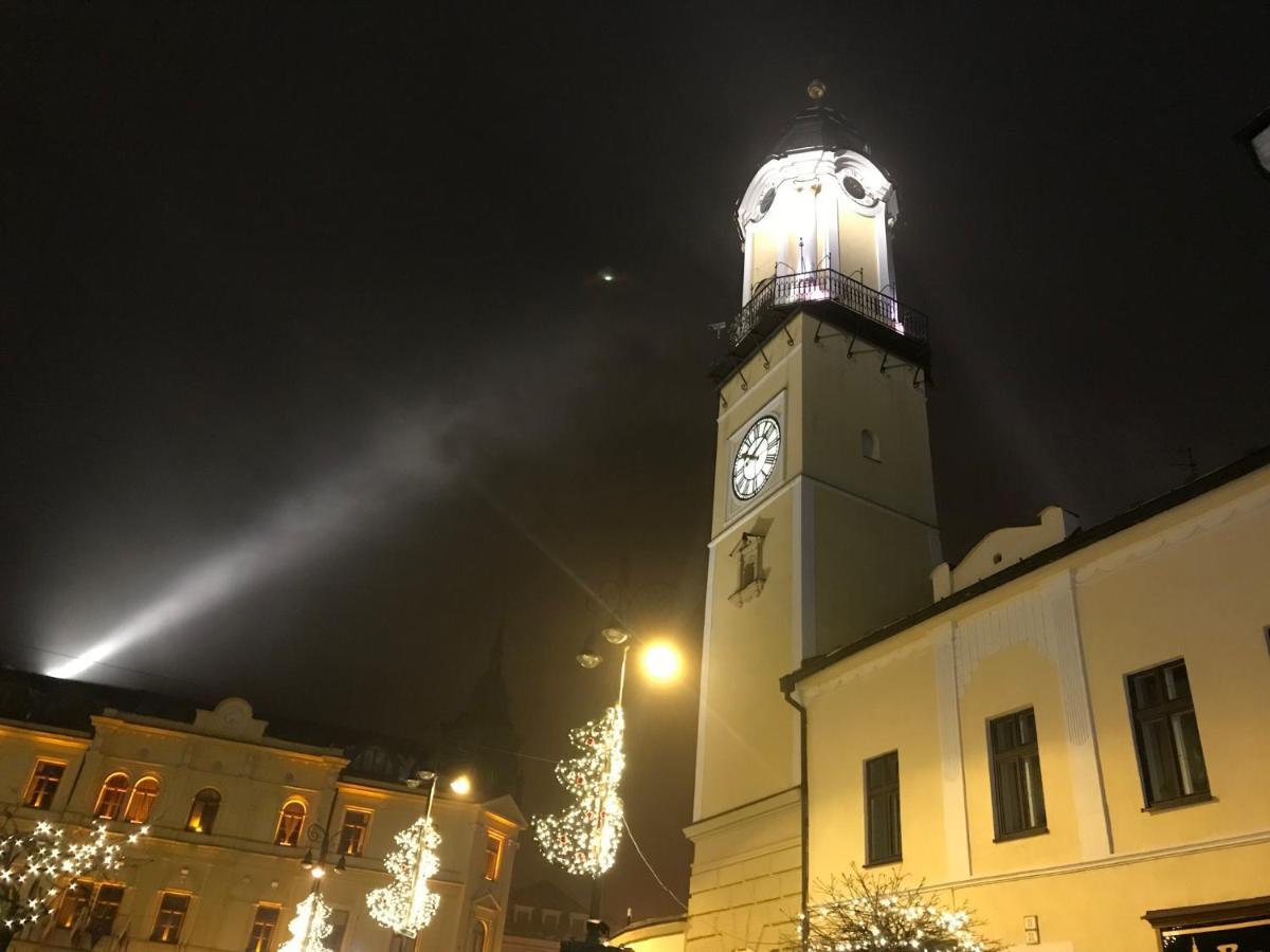 Bl - The Executive Suite, Boru - 24Hr Self Check-In, Free Private Parking, Balcony With Mountain View, 5 Minute Walk To City Center Besztercebánya Kültér fotó