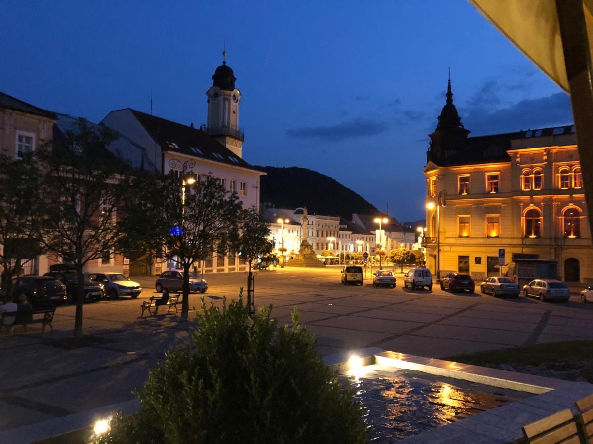 Bl - The Executive Suite, Boru - 24Hr Self Check-In, Free Private Parking, Balcony With Mountain View, 5 Minute Walk To City Center Besztercebánya Kültér fotó